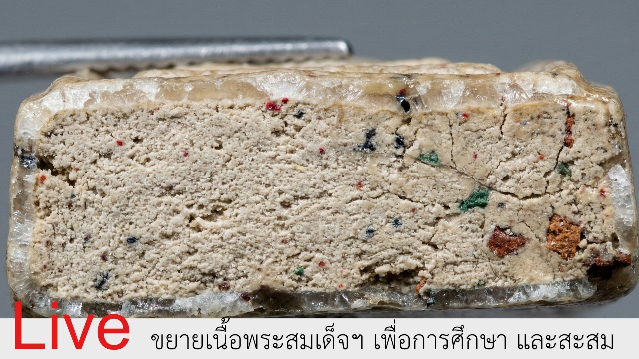 พระสมเด็จวัดระฆัง ขยายเนื้อดูเพื่อการศึกษา
