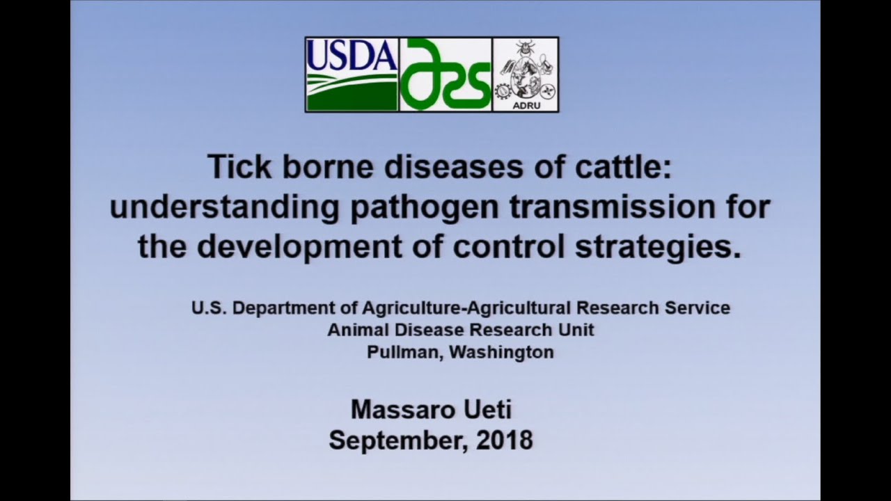 Tick borne diseases of cattle...