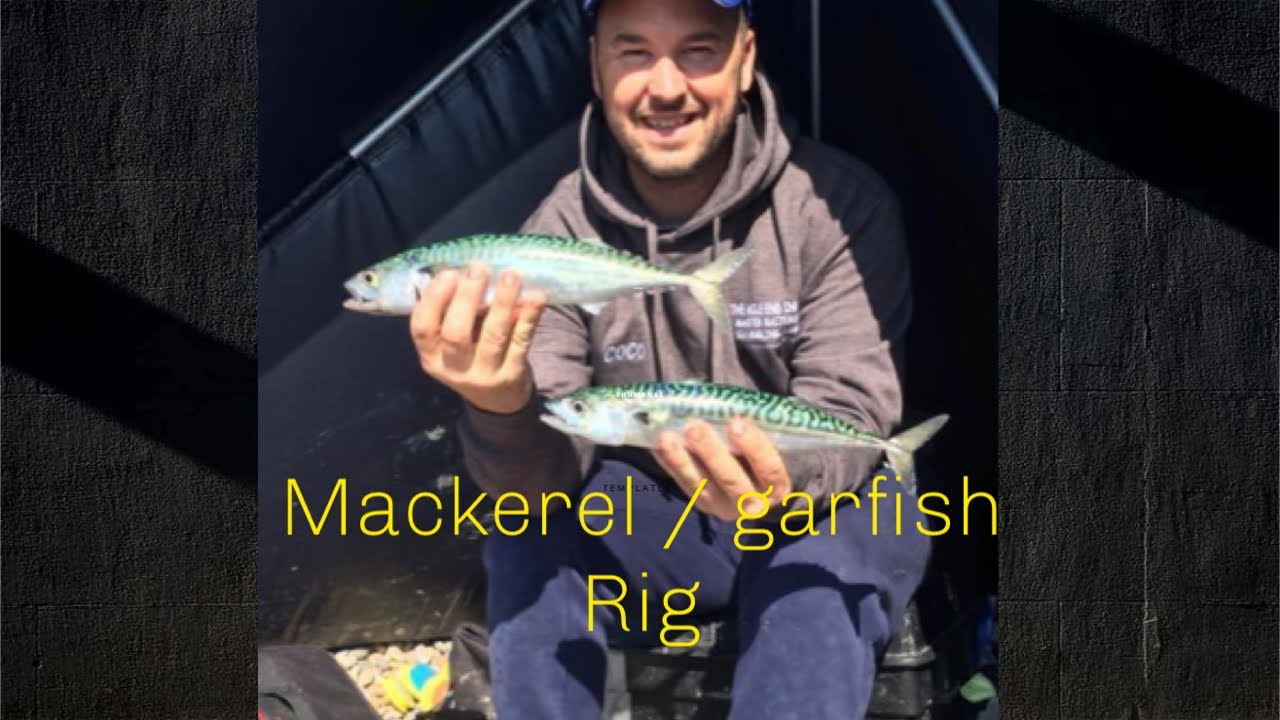 Sea fishing uk , mackerel garfish rig