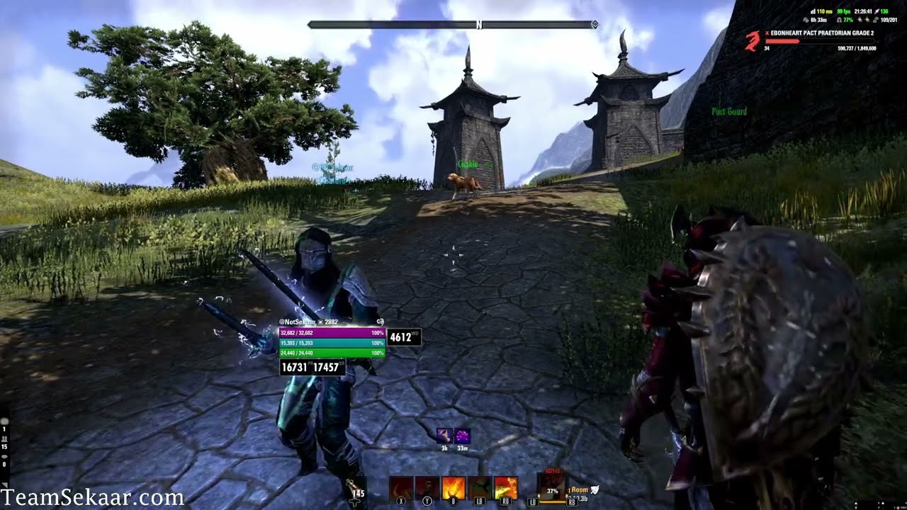 ESO PvP - StamDK Hitting HARD LEAPS - [Gold Road Chapter]