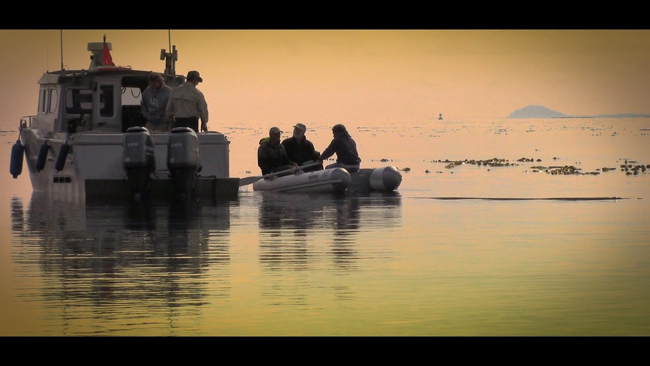 Edge of the World: Plein Air Haida Gwaii