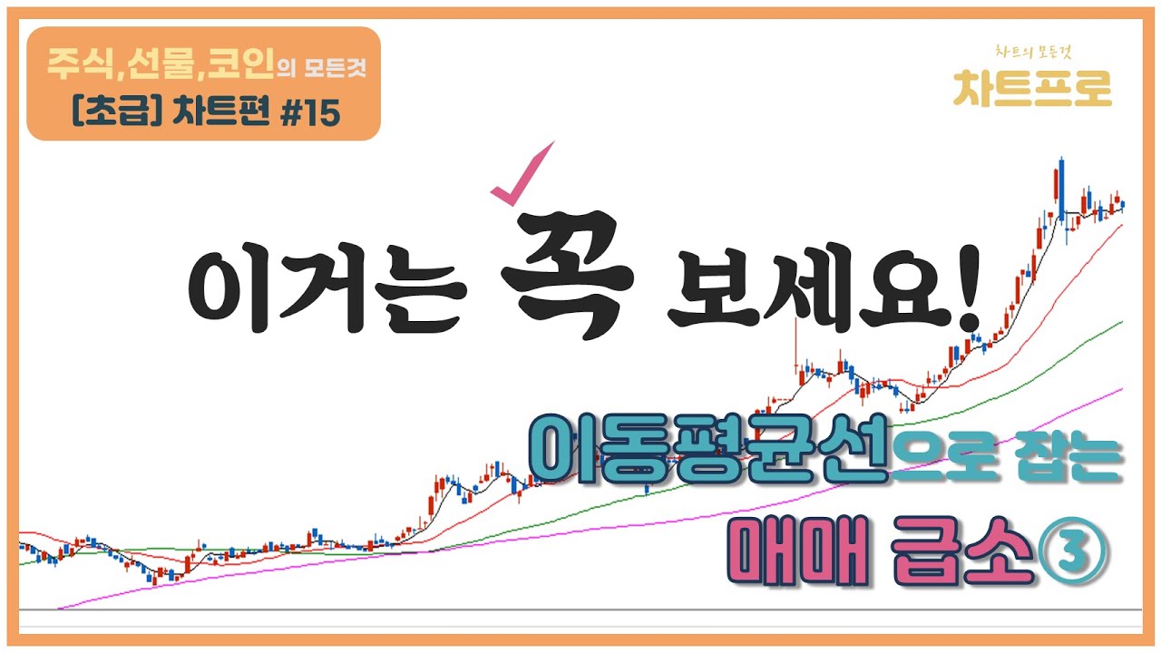【초급-차트편#15】 