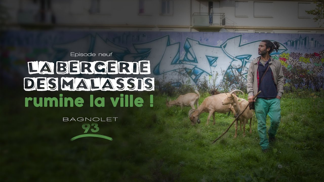 SideWays #9 - La bergerie des Malassis rumine la ville !