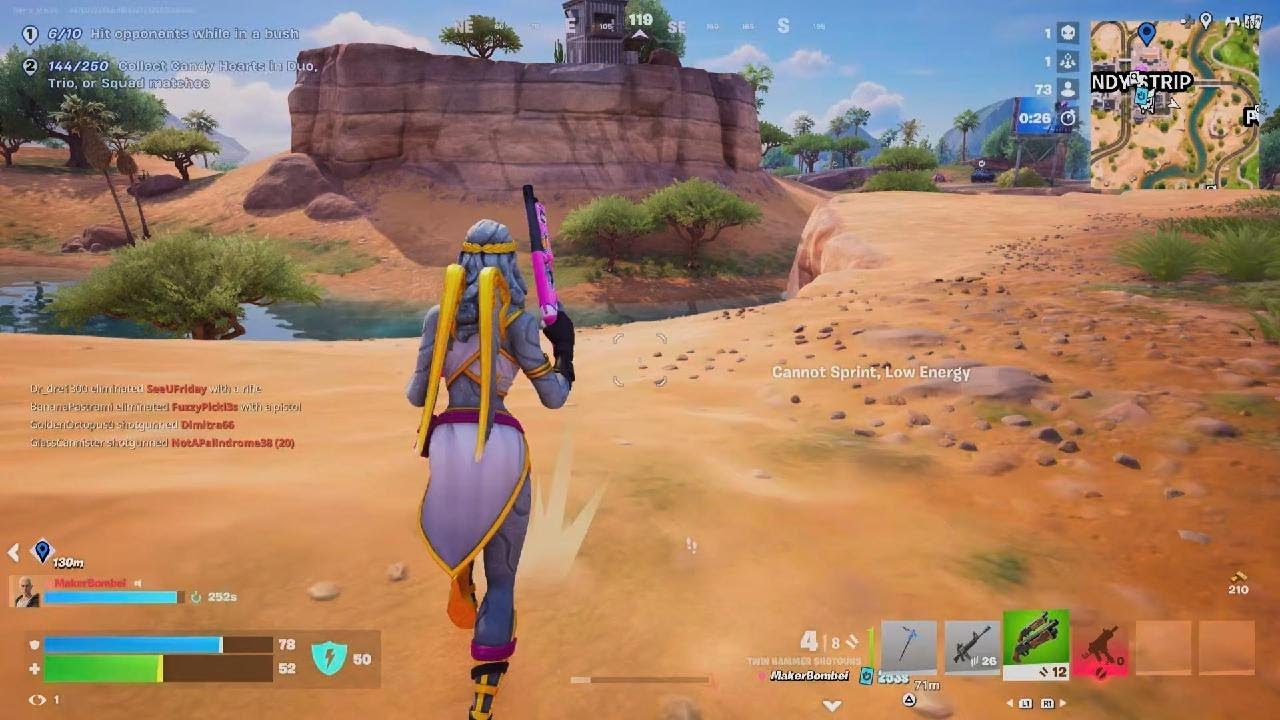 Fortnite 5th place duos w rando