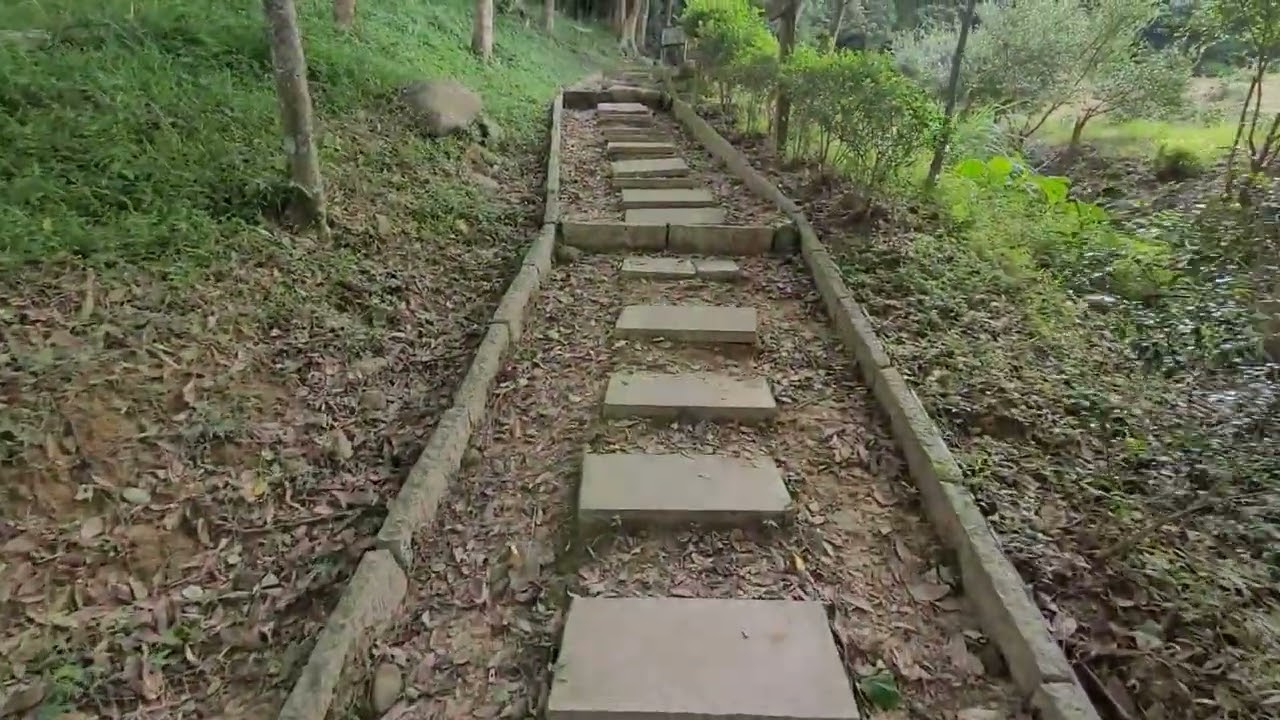 台湾旅行：東森山林步道（幸福桃源生態步道）
