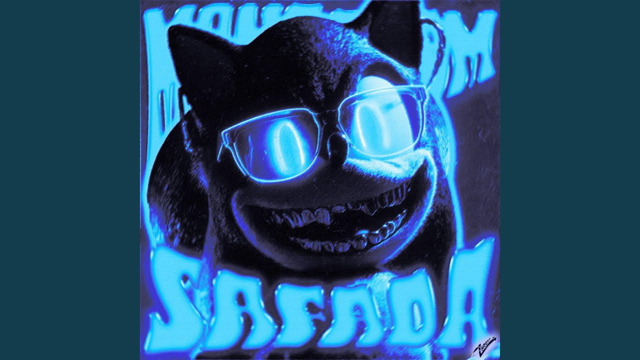 MONTAGEM SAFADA (Slowed)