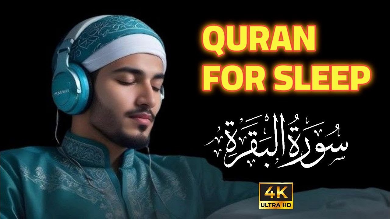 Relax Your Heart & Sleep Peacefully | Deep Healing Lofi Quran | Surah Al-Baqarah 🌙 #lofiquran
