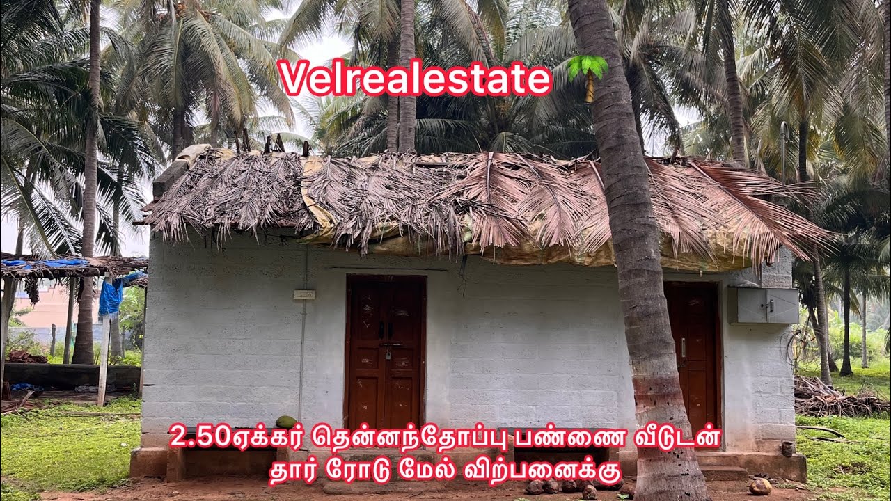 ❤️‍🔥2.50Acre coconutfarm 🌴for sale with Road face 🛣️#pollachi #realestatecoimbatore 