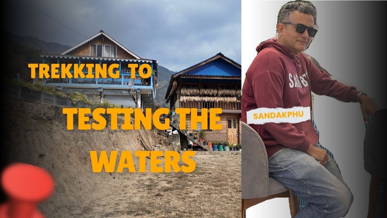 Test the waters