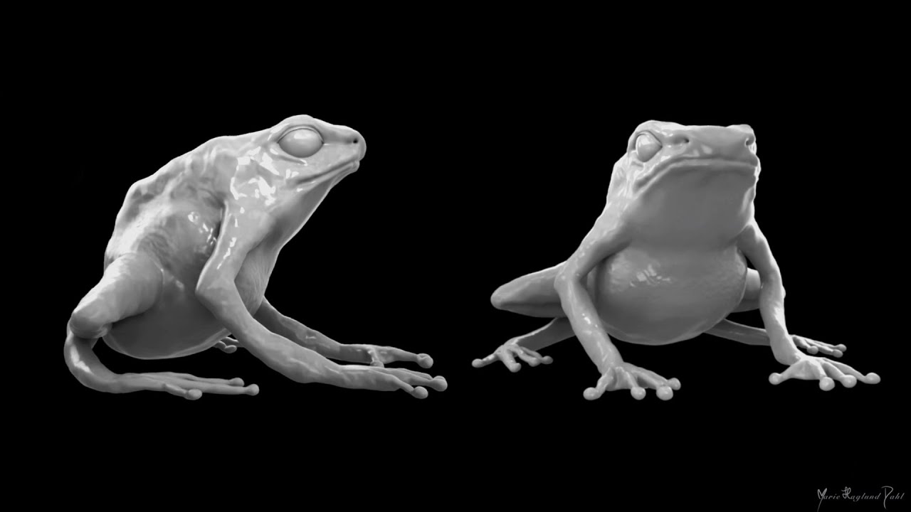 ZBrush Frog Sculpting Time-Lapse (WIP)