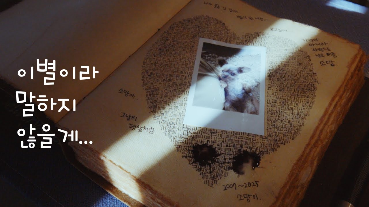 [4K] 그리움이 머문 곳에서 조용히 잠들다 / 온기 흔적 머무름 그리고 그날의 기억 / 실미유원지 레이 차박