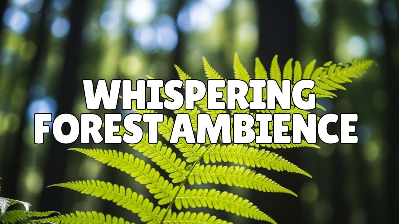 Whispering Forest Ambience 🌲 Soft Leaves, Gentle Breeze & Distant Birdsong (8 Hours)