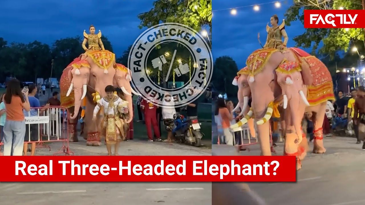 FACT CHECK: Viral Video Shows a Real Three-Headed Elephant?
