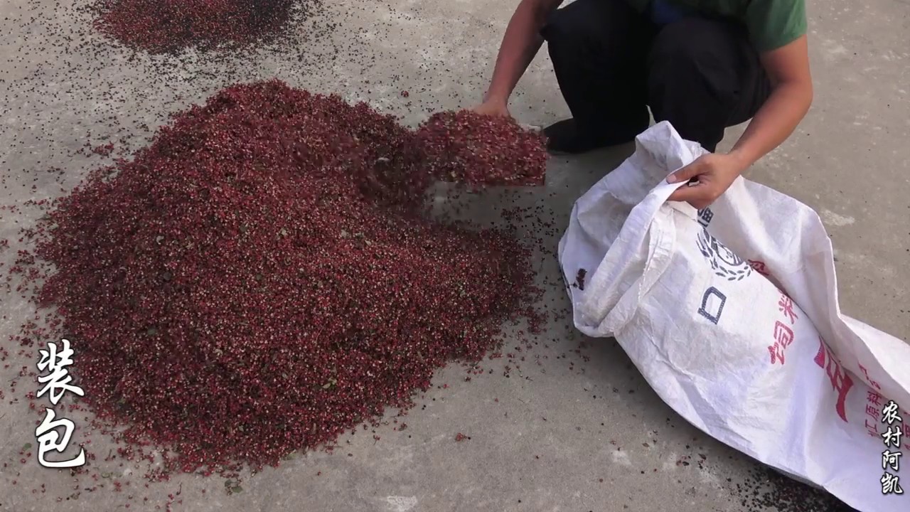 花椒原来是这样加工出来的，真的不容易