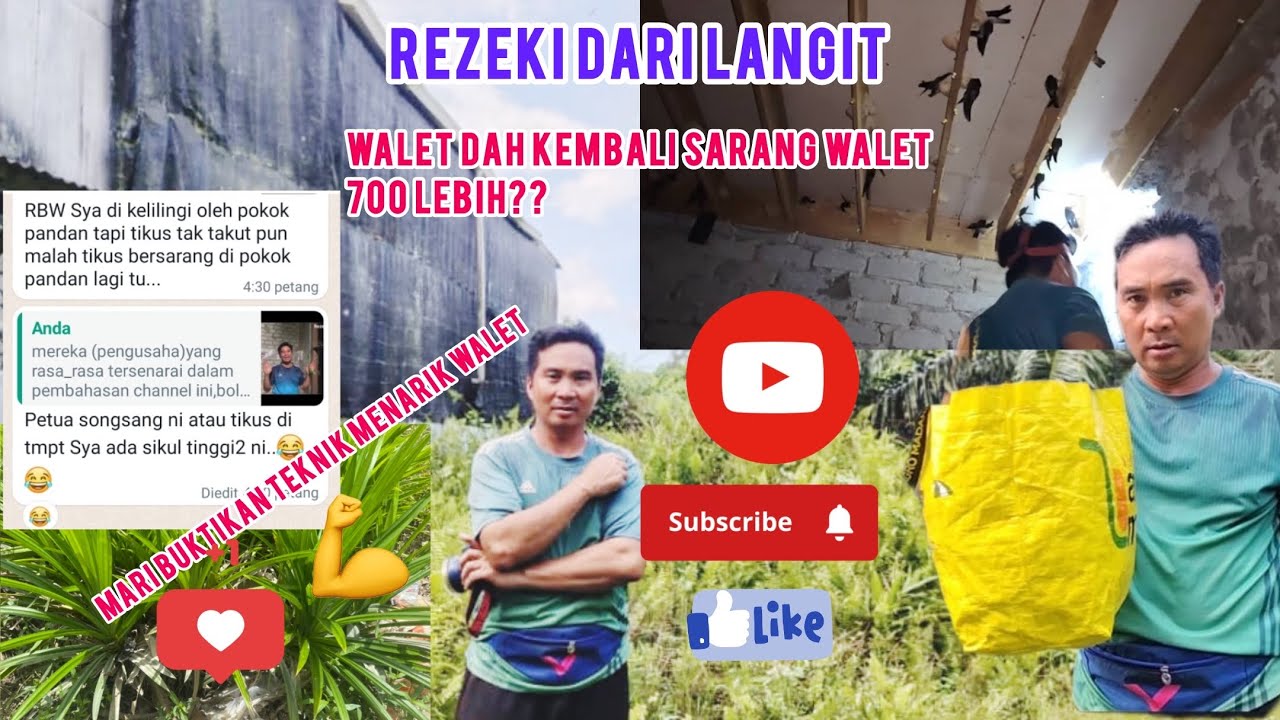 TIPS WALET: WALET DAH KEMBALI CAPAI 700 LEBIH SARANG MASA 2 BULAN, LIHAT APA RAHSIANYA.??