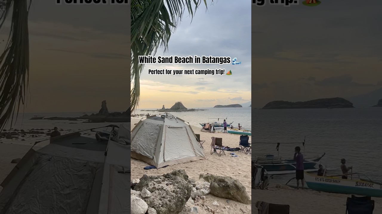 White Sand Beach in Batangas 🌊 #camping #perfectspot #camp #whitesand #whitesandbeach #campsite #ph