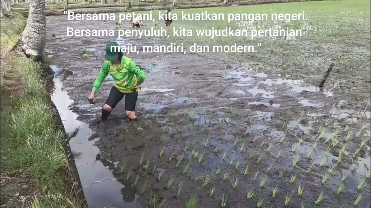 Bersama petani, kita kuatkan pangan negeri