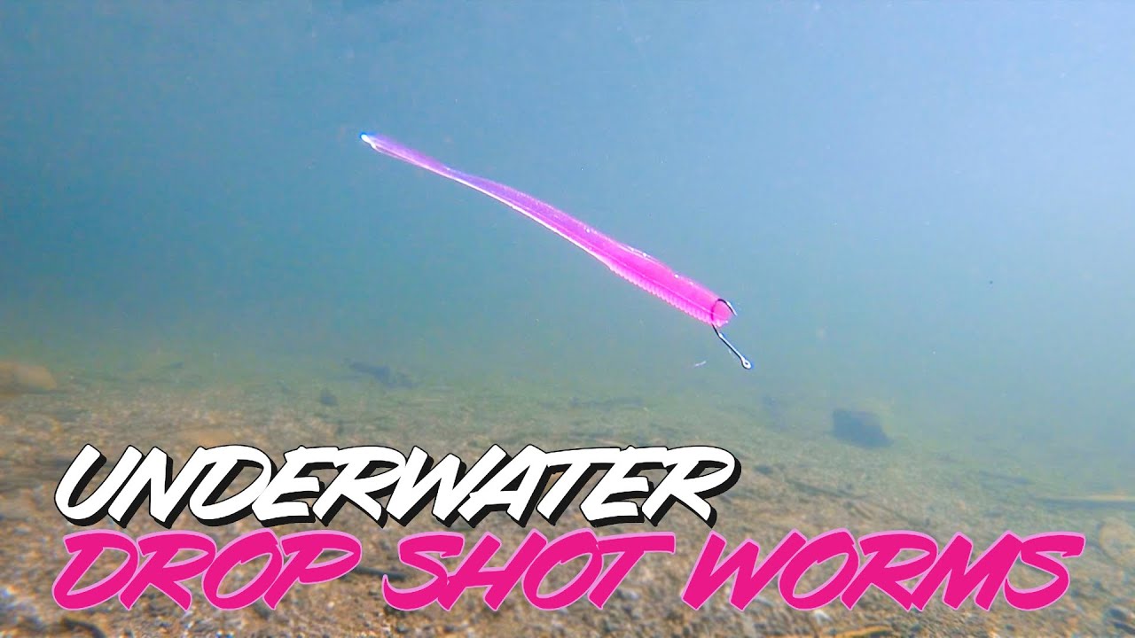 Underwater Footage! Dropshot Worm Comparison - Which Would You Choose?