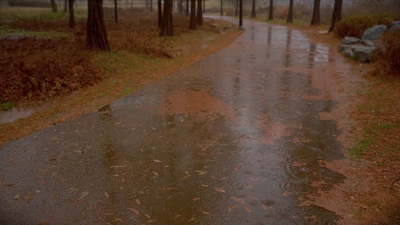Rain Sounds for Sleeping Gentle Rain 1 Hour