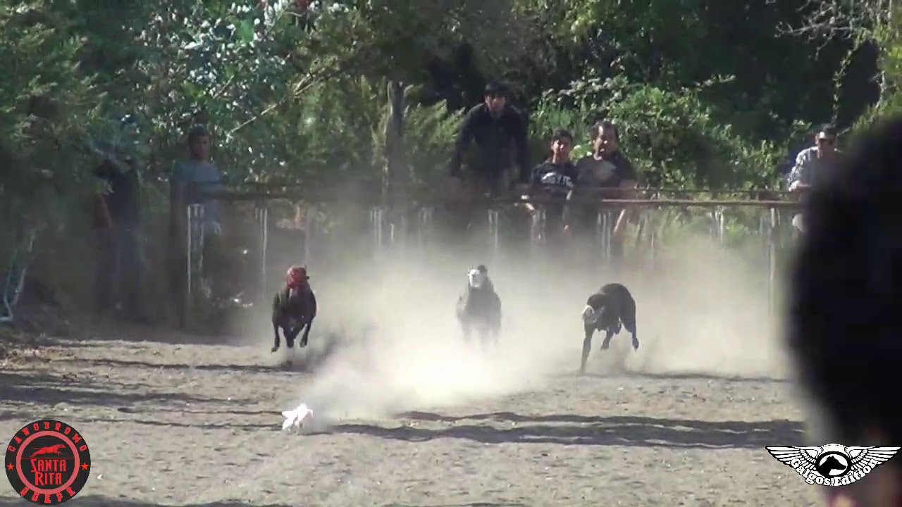 Canodromo Santa Rita - 03 de marzo 2019