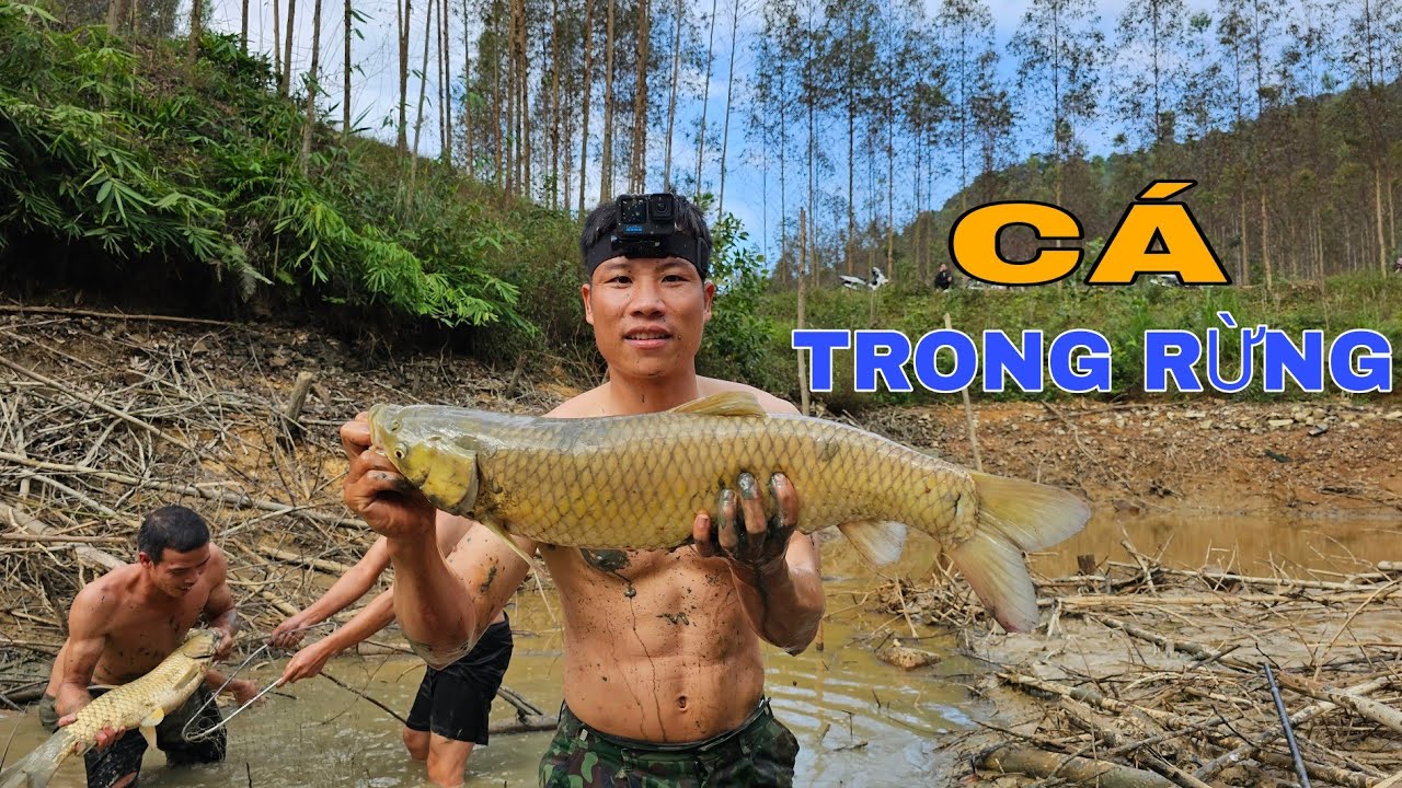 AO CÁ SAU 4 NĂM THẢ TỰ NHIÊN TRONG RỪNG / TỔNG KẾT CUỐI NĂM CỦA NGƯỜI MIỀN NÚI !