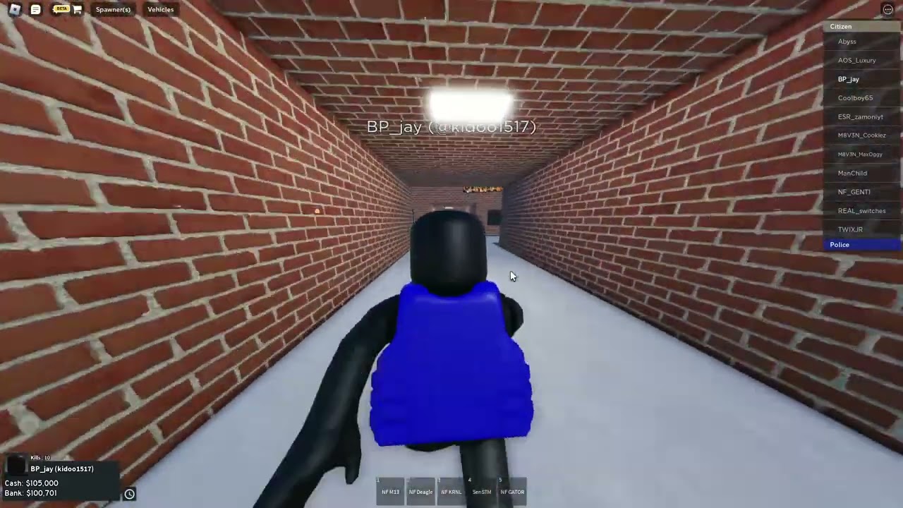 I RAID IN CHICAGO REMASTERED USING 'NF' GUNS