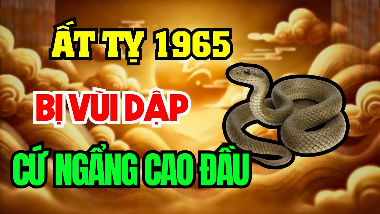 Ất Tỵ 1965 Hay Bị Phản Bội, Mất Tiền, Mất Người Thân… Nhưng Cuối Đời Trời Ban Phúc Gấp Nghìn Lần!