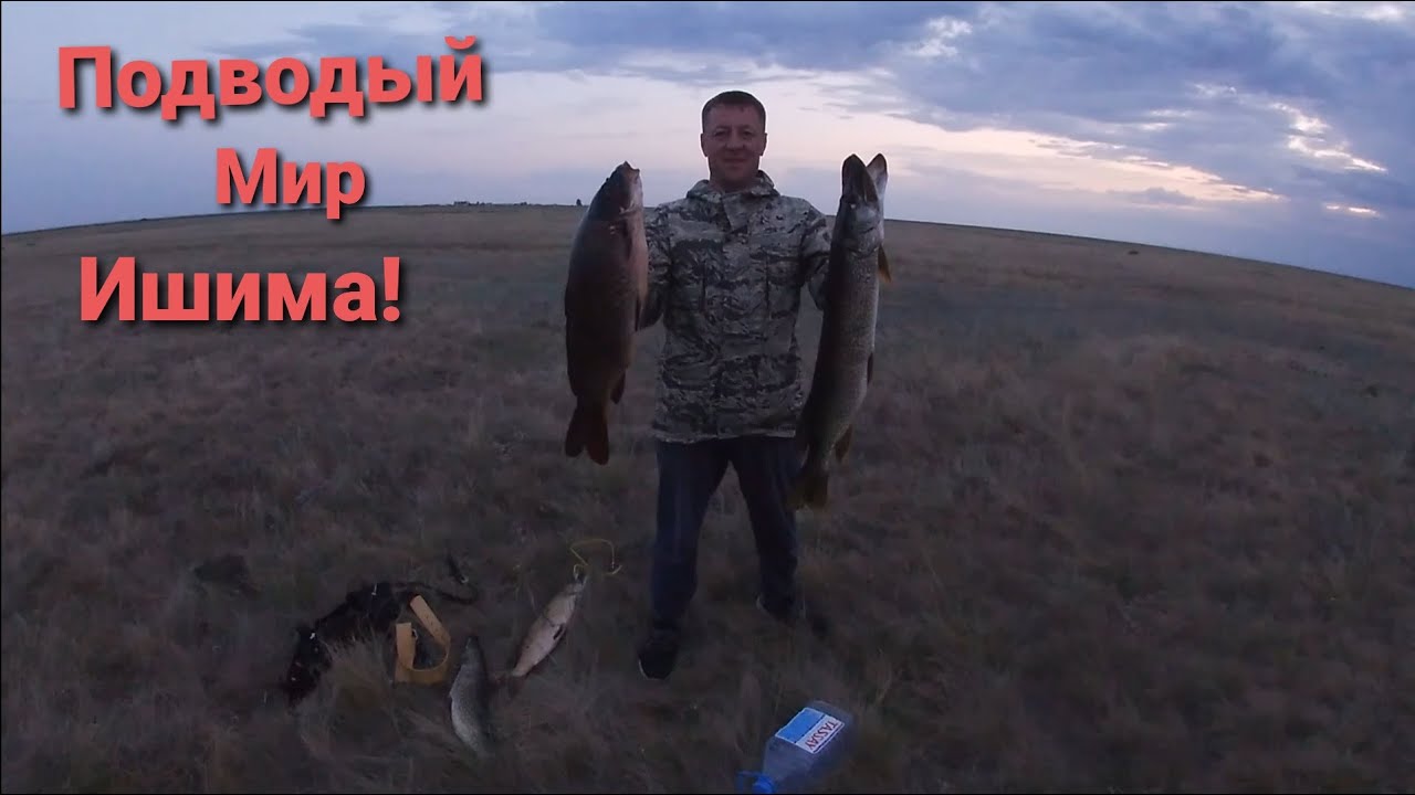 Подводная Охота в Казахстане! Карп добыт!