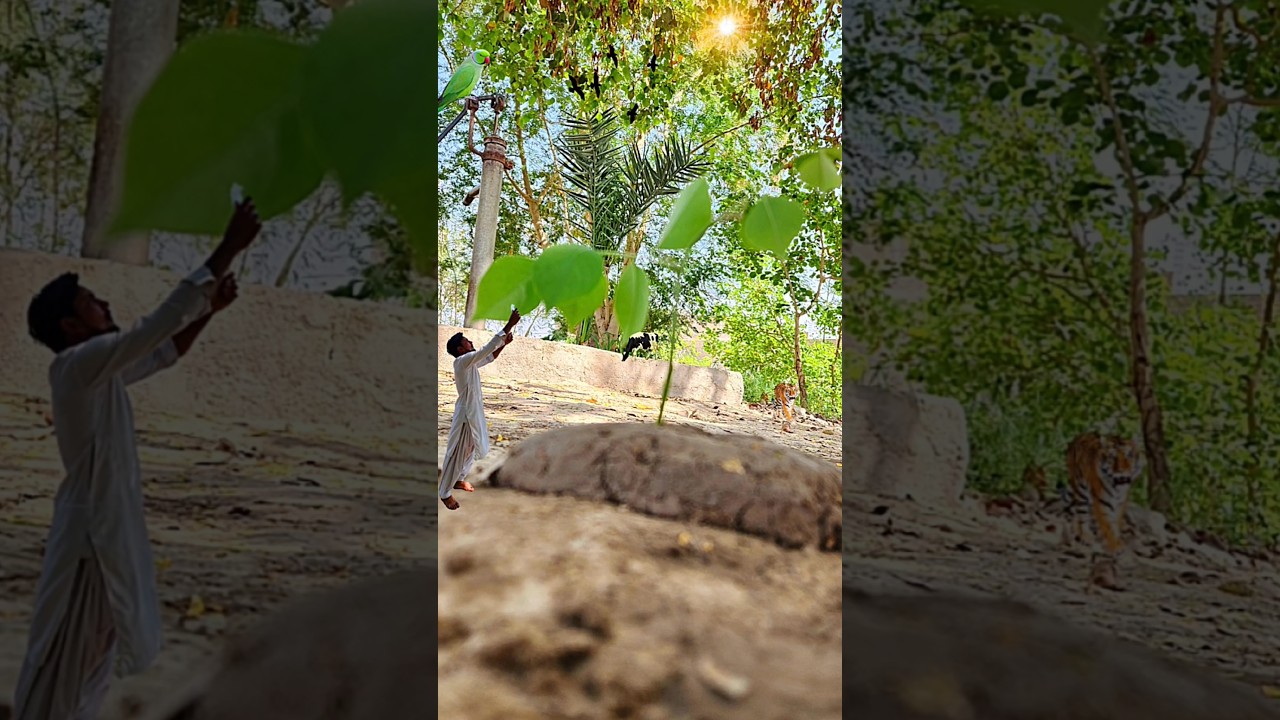 #CinematicVideo#ProfessionalVideography#VideoProduction#VideographyLover#CameraWork#cinematicshots😇👍