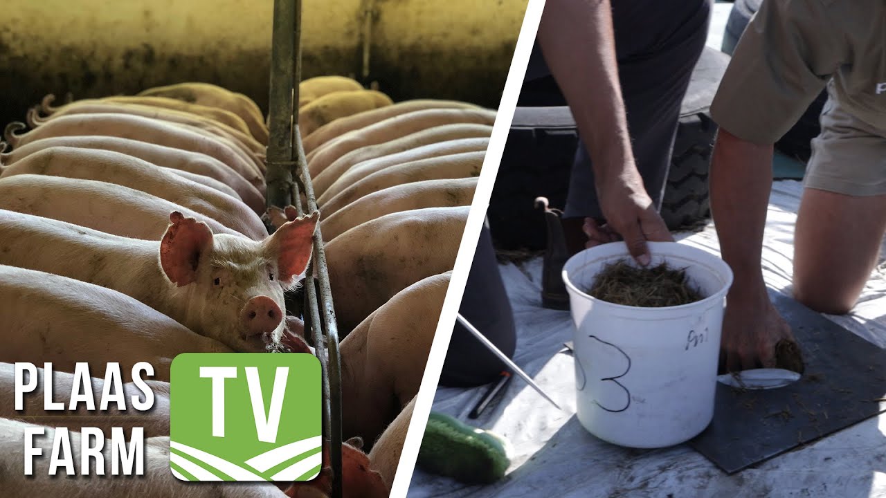 2022 Santam Agriculture National Silage Competition: Farm TV - 7 November 2022