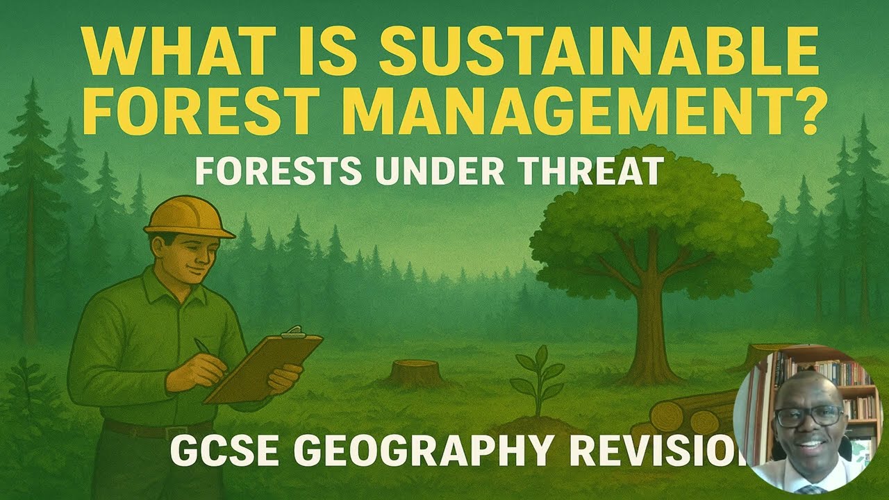 What is Sustainable Forest Management? Forests Under Threat | GCSE Geography Revision