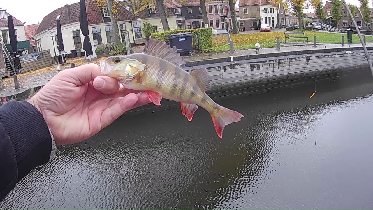 Dropshotten in Blokzijl