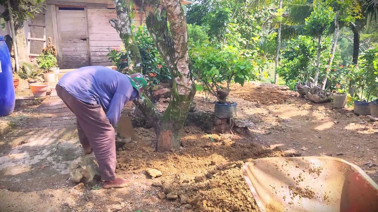 Village Grit: Moving Rocks and Dirt for Yard Improvement #RuralAgriculture #TraditionalFarming