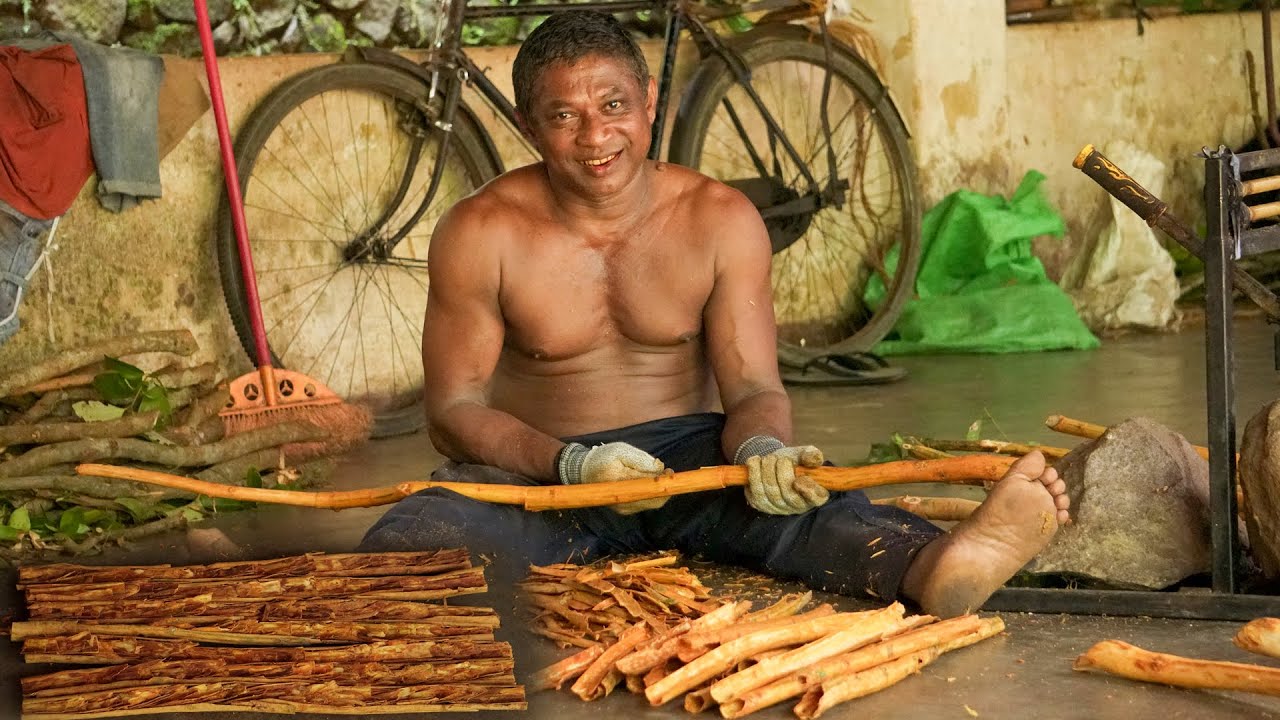 How Ceylon Cinnamon is Made