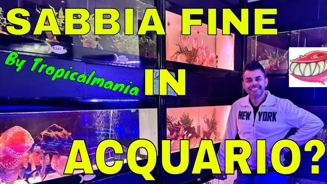 ACQUARIO SABBIA FINE ?  🙄   by Tropicalmania