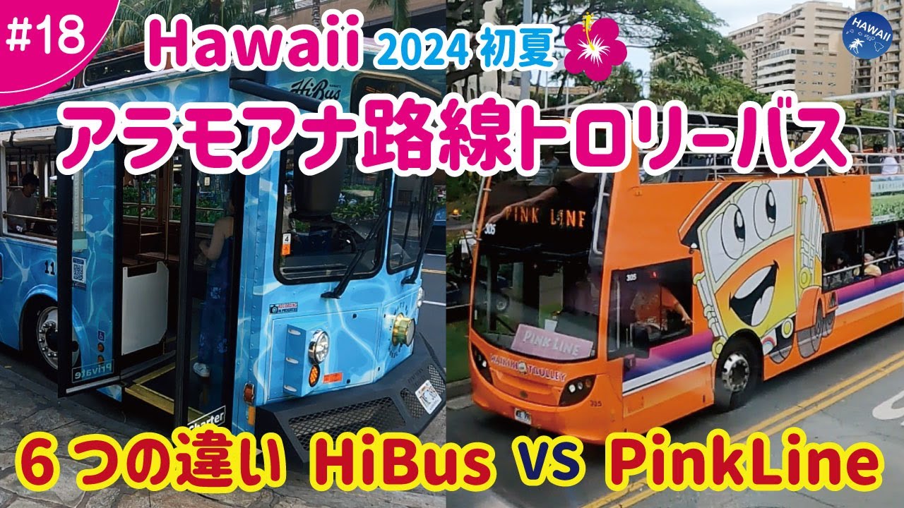 【ハワイ旅行 ＃18】2024年初夏🌺【トロリーバス・アラモアナ路線】「PinkLine(ピンクライン)」と「HiBus(ハイバス)」6つの違い！明確、これで迷わない使い分け！ワイキキの便利な移動手段