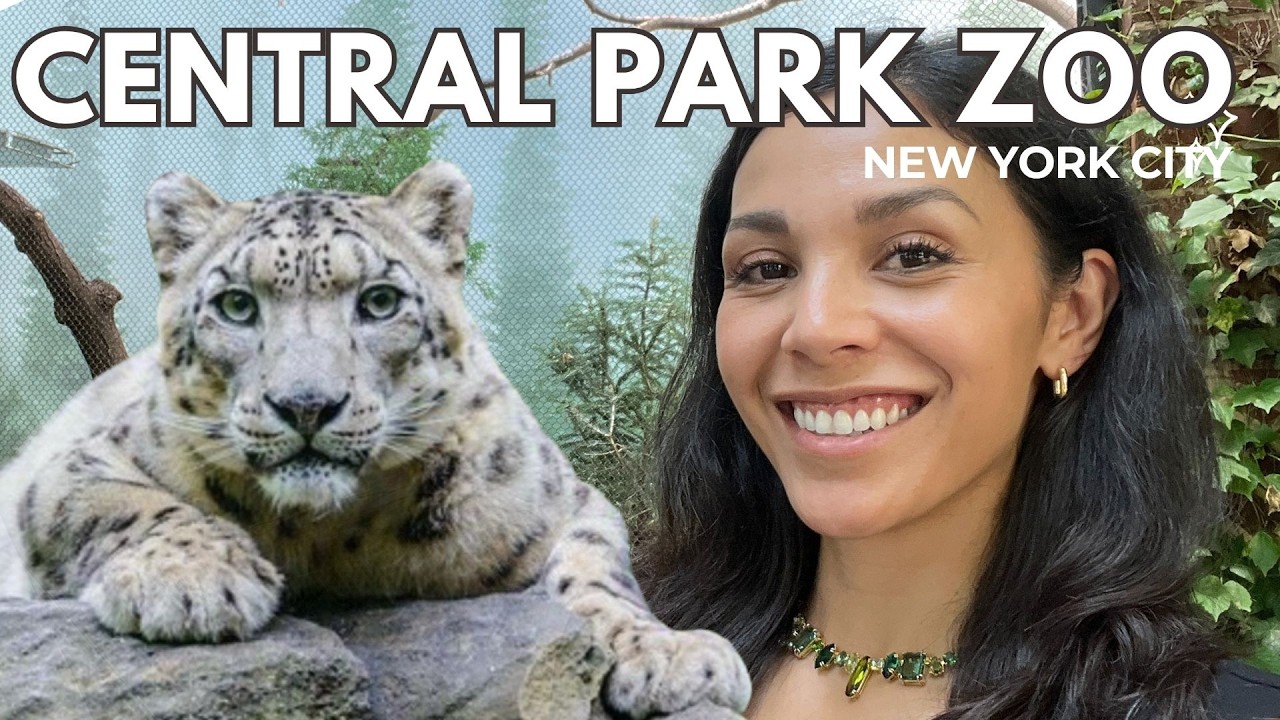 Central Park Zoo Guide 2025 🐧 | Must-See Animals in NYC
