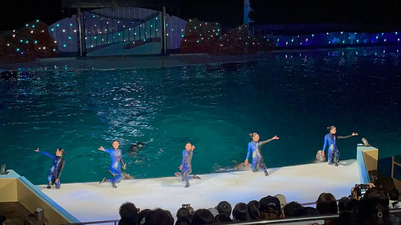 【ナイトマリンライブLOVES19:00公演】(2023年5月3日)アドベンチャーワールド夜のイルカショー