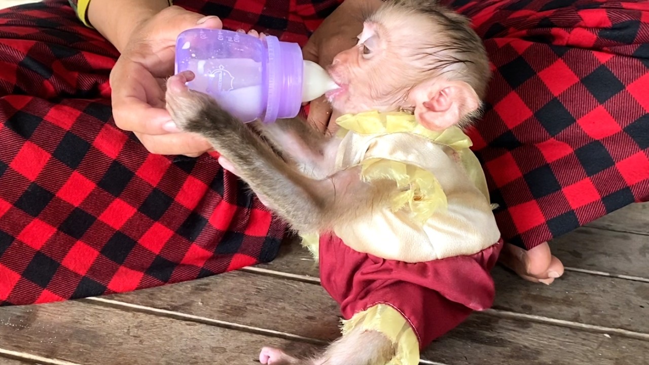So beautiful!! Cute baby LIORA wearing a beautiful dress and drinking a bottle of delicious milk