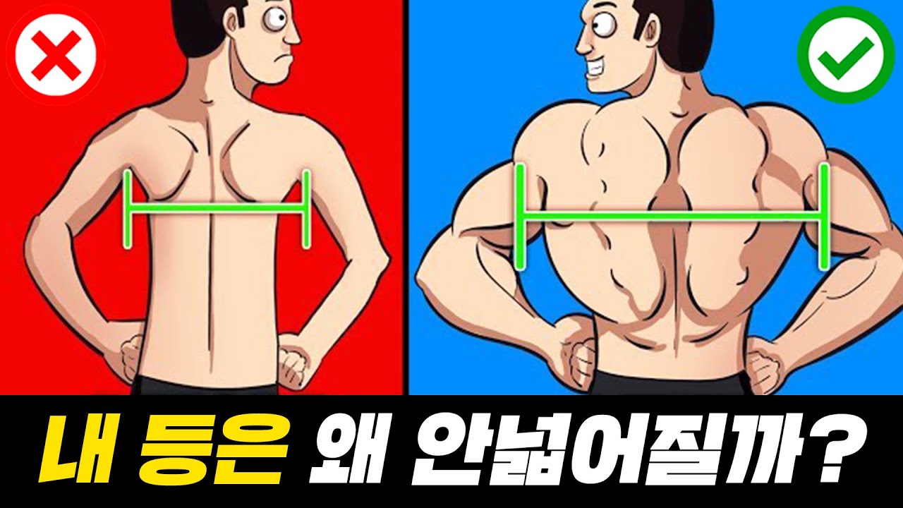 남자의 등빨(덩치)을 커지게 만드는 등운동의 핵심? (프레임 넓혀주는 상부 등근육 루틴! 광배근/승모근/대원근)