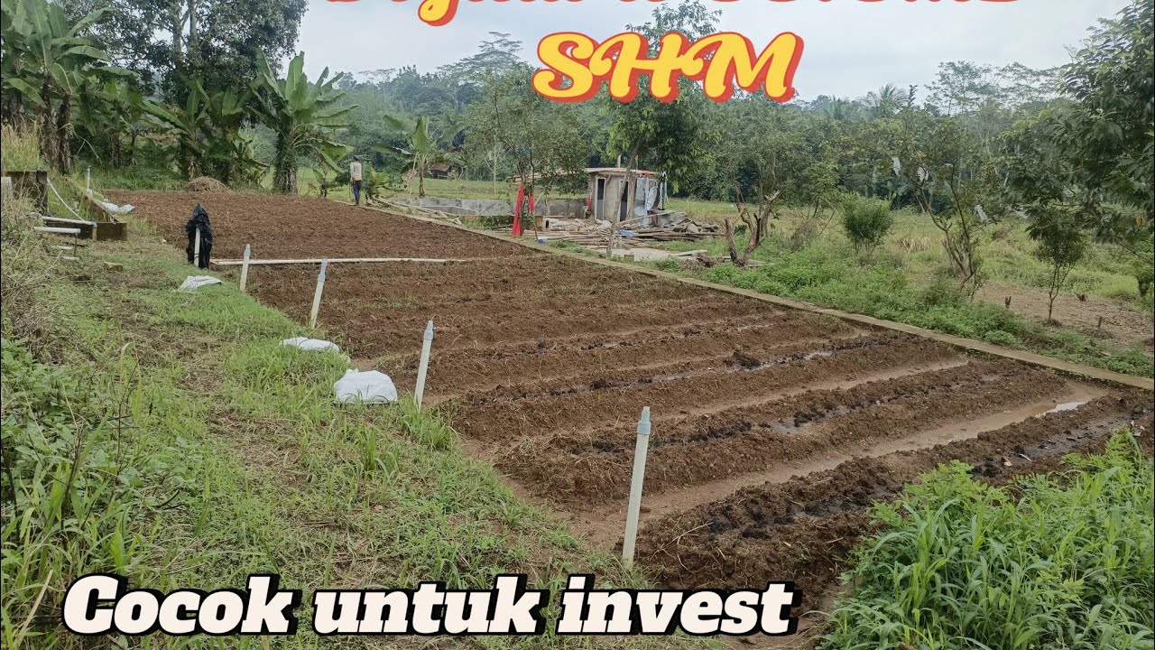 Lahan bagus subur