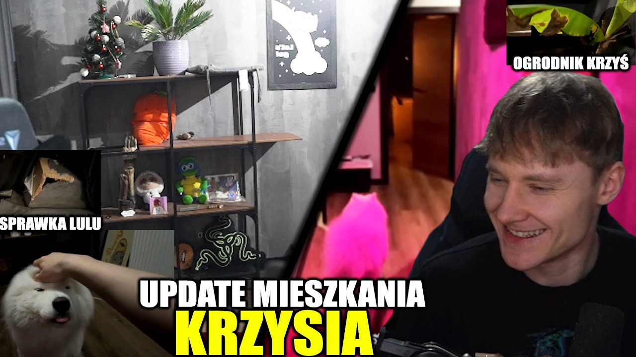 ARQUEL | UPDATE MIESZKANIA, SZTUCZKA LULU, OGRODNIK KRZYŚ, ZNISZCZONA KANAPA, PROJEKTOR, PAN KOT
