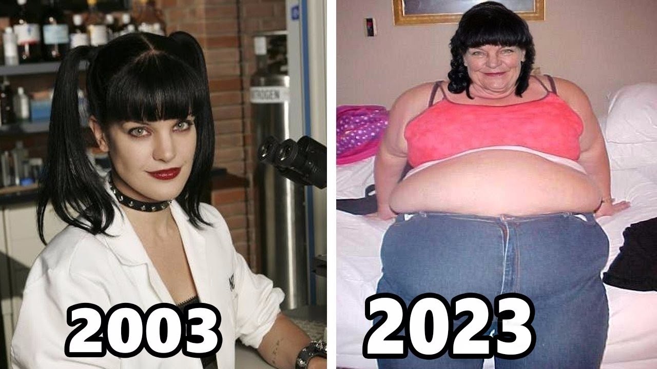 NCIS (2003) Cast THEN and NOW, The actors have aged horribly!!