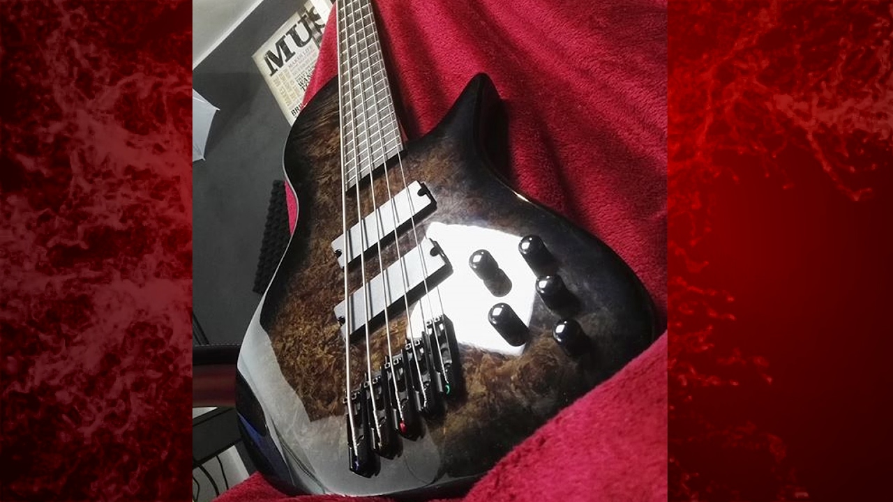 HARLEY BENTON FANFRET 5B DLX 5 string bass ( FULL REVIEW ) ✅