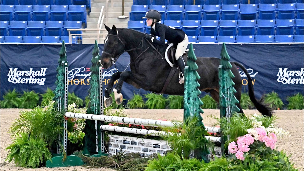 13th place NCEA Medal Finals (82.5) - Oct. 2025 | Coltrane