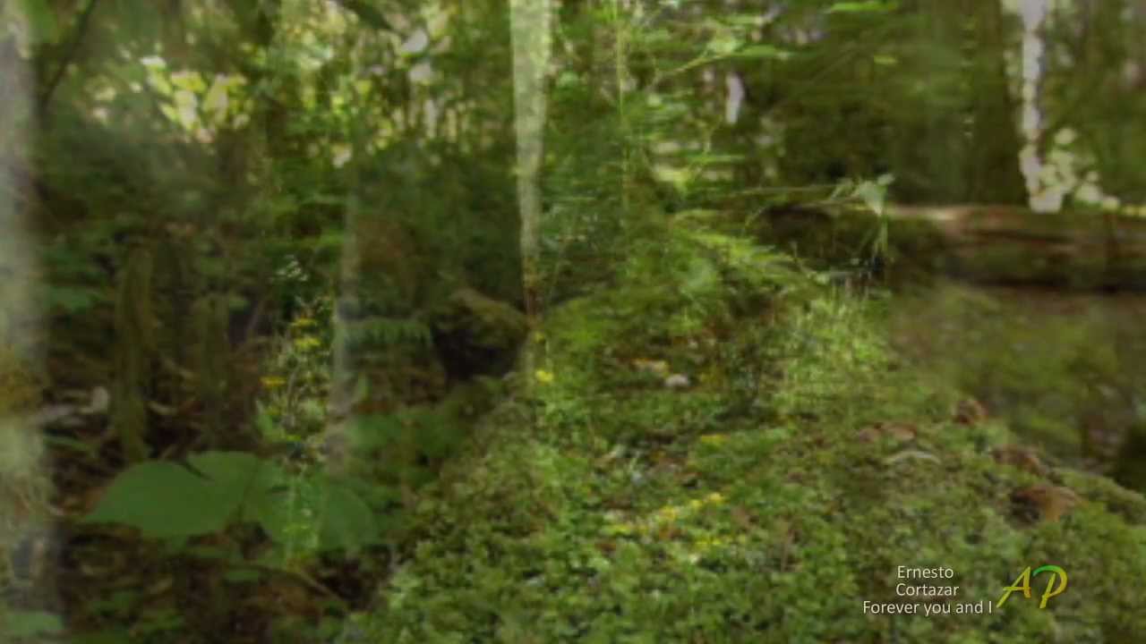 ERNESTO CORTAZAR - Forever you and I