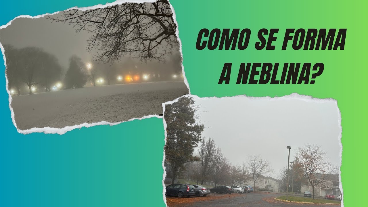 HD #2 | Como a neblina se forma