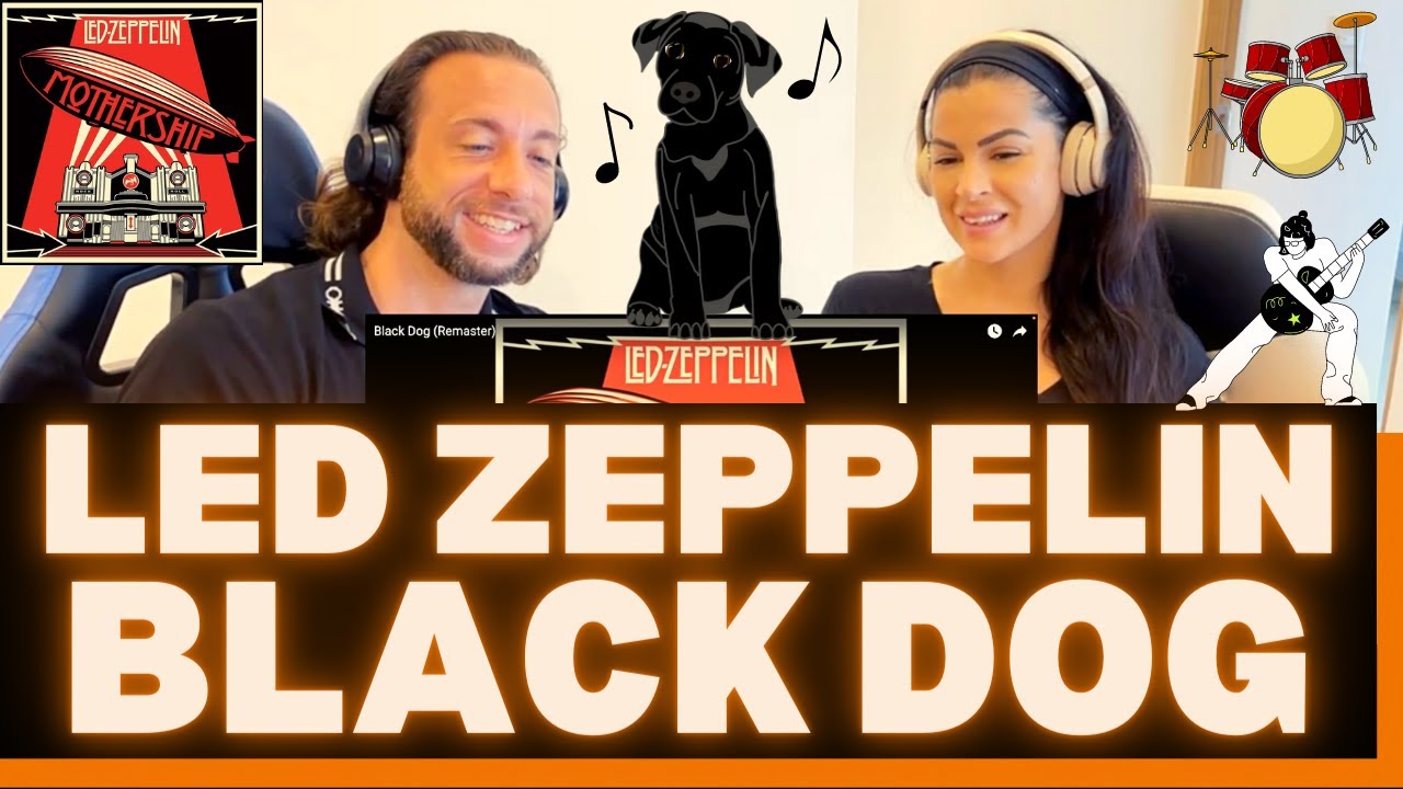 First Time Hearing Led Zeppelin Black Dog Reaction - YOU NEVER KNOW WHAT TO EXPECT WITH THESE GUYS!