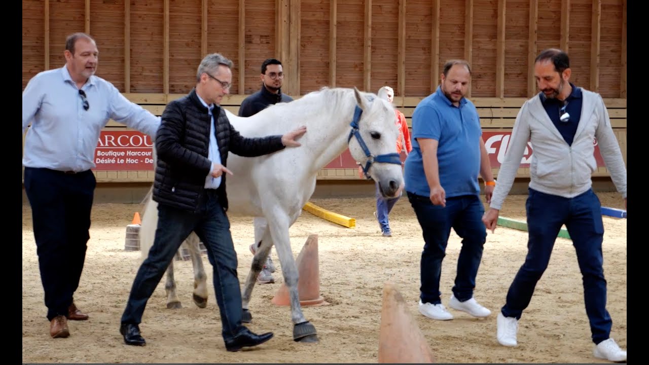 Team Building à Deauville - Séminaires Directeurs et associés du groupe Deloitte