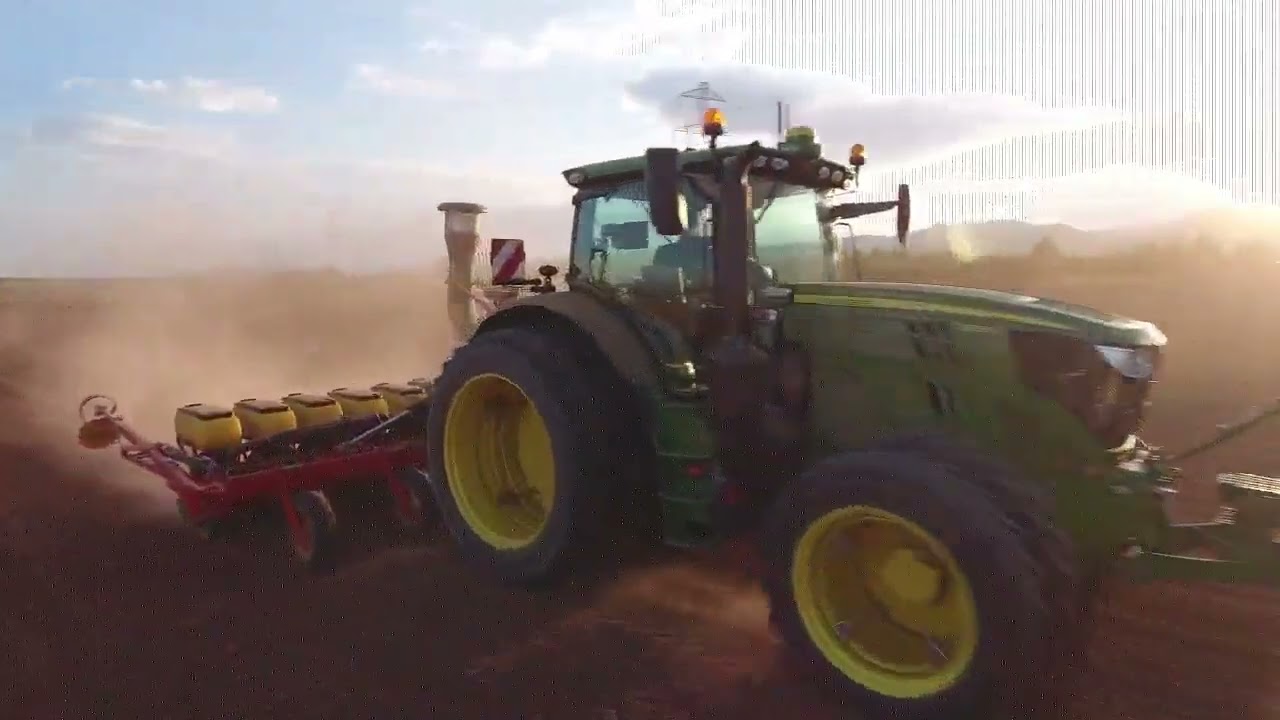 Semis de colza 2022